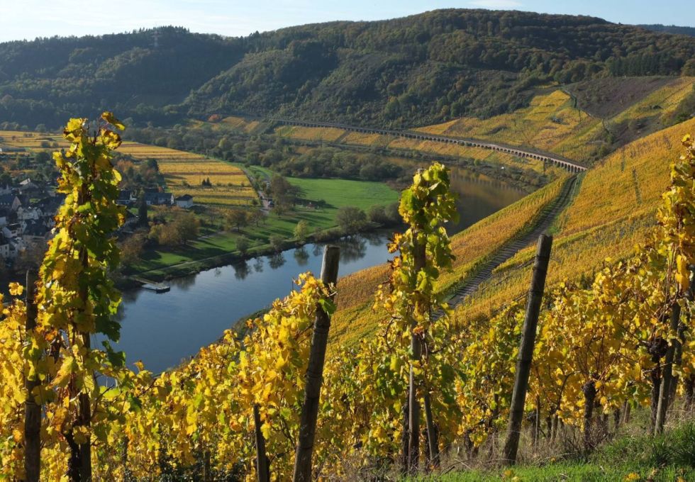 Rhein Burgen